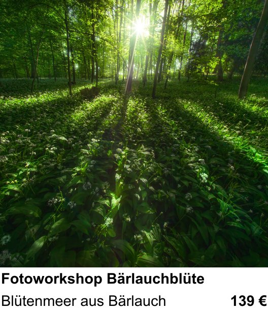 Erlebnisreicher Fotoworkshop – Fotoworkshop Bärlauchblüte und Blütenmeer aus Bärlauch