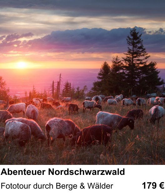 Erlebnisreicher Fotoworkshop – Abenteuer Nordschwarzwald und Fototour durch Berge & Wälder
