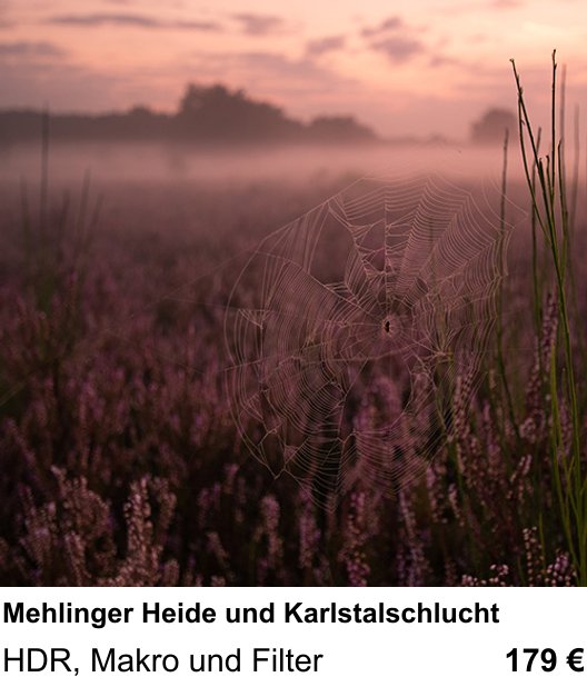 Erlebnisreicher Fotoworkshop – Mehlinger Heide und Karlstalschlucht und HDR, Makro und Filter