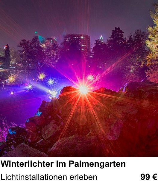 Erlebnisreicher Fotoworkshop – Winterlichter im Palmengarten und Lichtinstallationen erleben