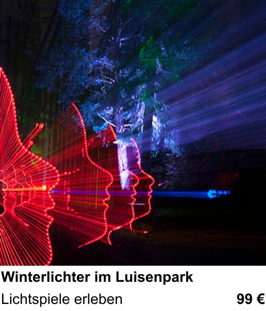 Erlebnisreicher Fotoworkshop – Winterlichter im Luisenpark und Lichtspiele erleben