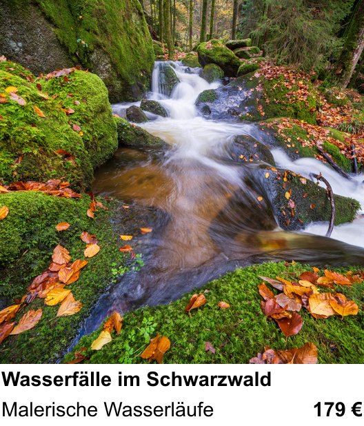Erlebnisreicher Fotoworkshop – Wasserfälle im Schwarzwald und Malerische Wasserläufe