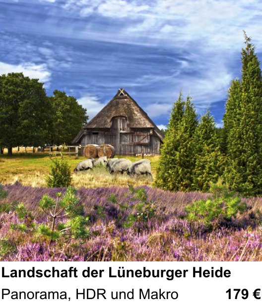 Erlebnisreicher Fotoworkshop – Landschaft der Lüneburger Heide und Panorama, HDR und Makro